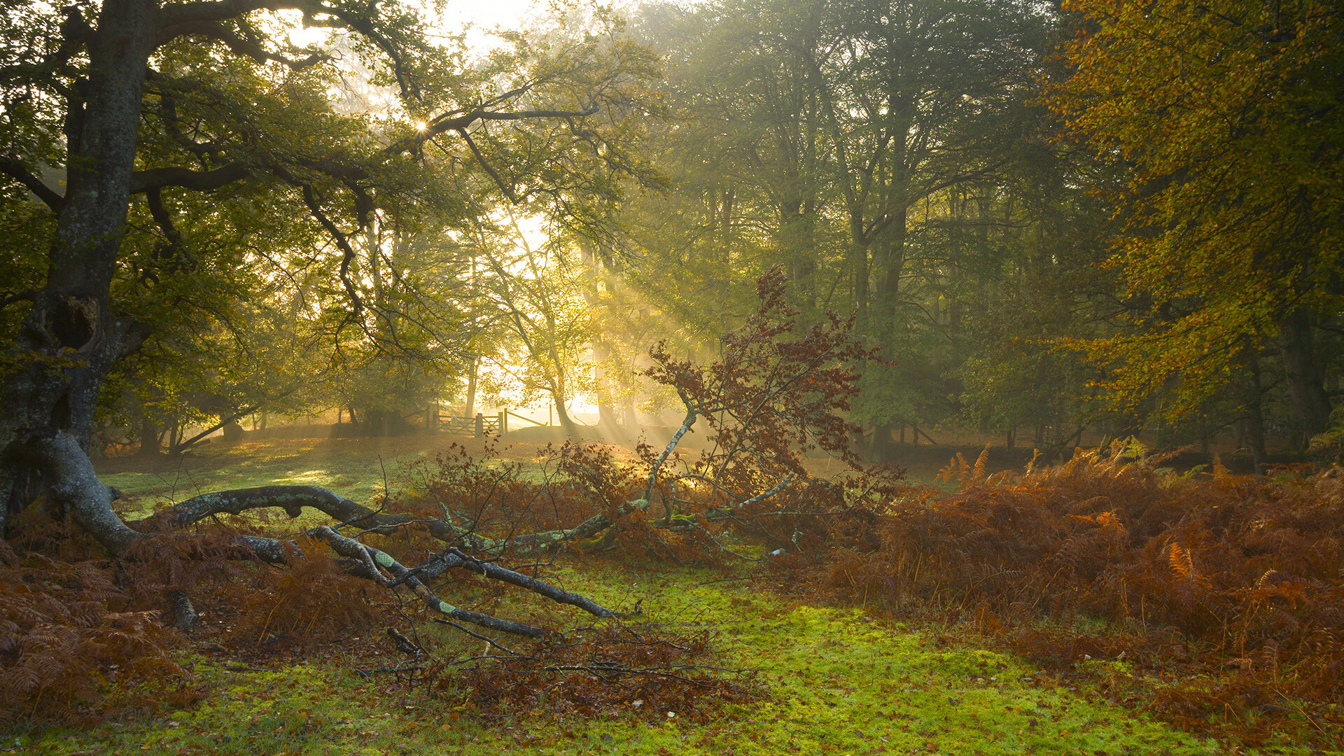 KAIYUNAPP-2018年西部决赛：库里在关键时刻，用连续远距离三分逆转局势！，2016西部决赛库里技术统计