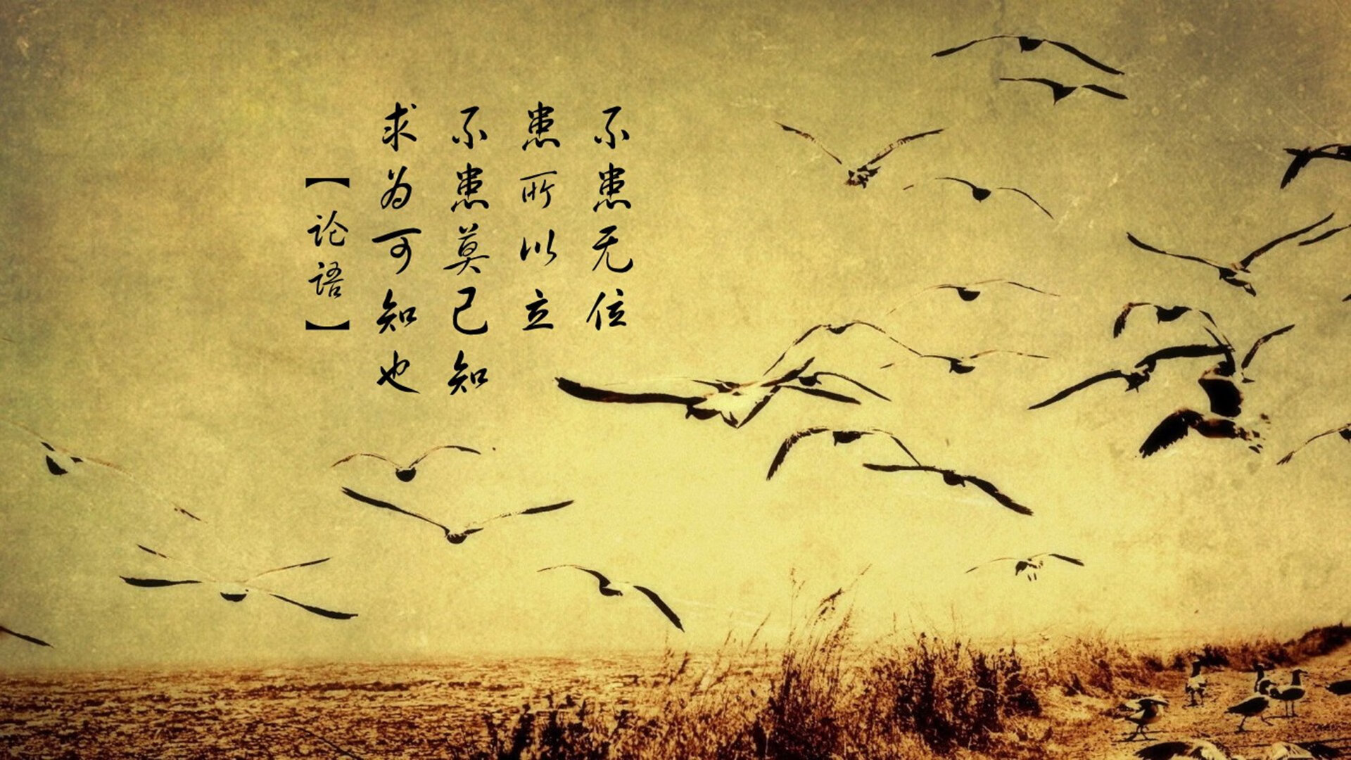 开云体育在线赛事直播-《电竞场馆升级：硬件设施引领行业新标准》，电竞场馆设计规范