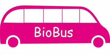 开云体育官方网入口-意甲联赛的绿色可持续发展，意甲联赛啥意思